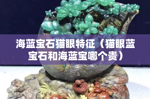 海蓝宝石猫眼特征（猫眼蓝宝石和海蓝宝哪个贵）