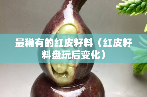 最稀有的红皮籽料（红皮籽料盘玩后变化）