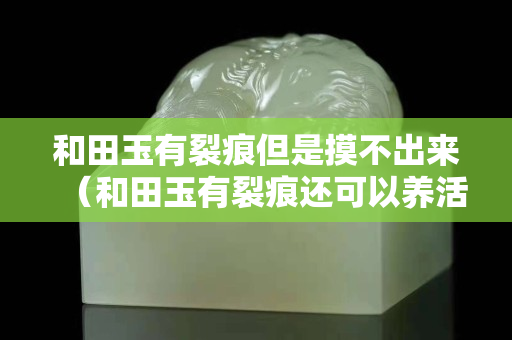 和田玉有裂痕但是摸不出来（和田玉有裂痕还可以养活吗）