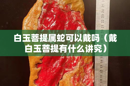 白玉菩提属蛇可以戴吗（戴白玉菩提有什么讲究）