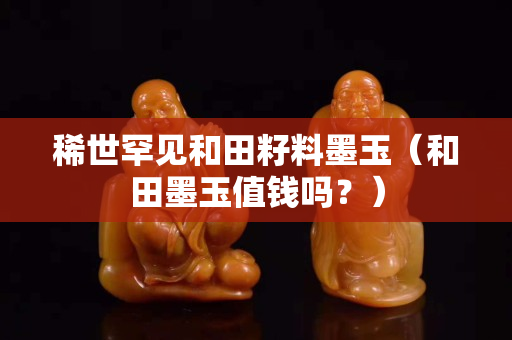 稀世罕见和田籽料墨玉（和田墨玉值钱吗？）