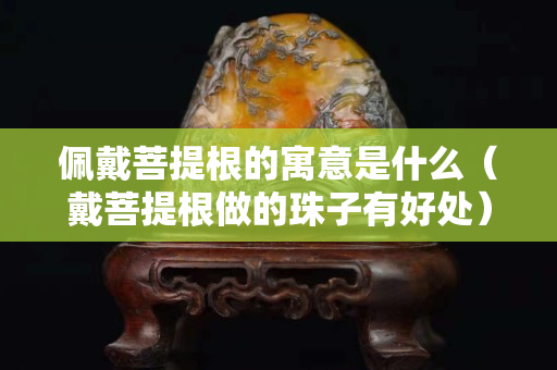 佩戴菩提根的寓意是什么（戴菩提根做的珠子有好处）