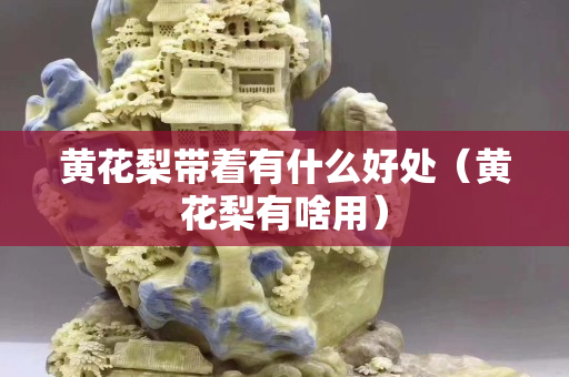 黄花梨带着有什么好处（黄花梨有啥用）