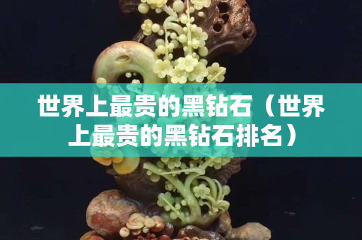 世界上最贵的黑钻石（世界上最贵的黑钻石排名）