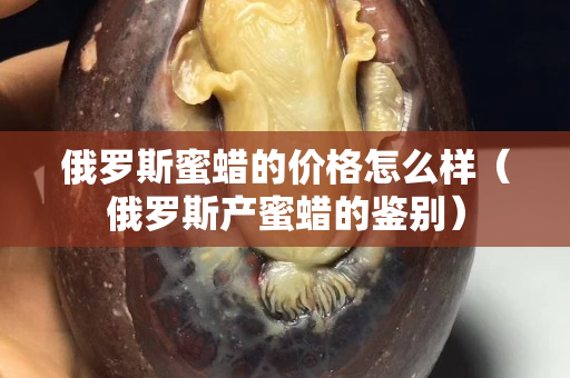 俄罗斯蜜蜡的价格怎么样（俄罗斯产蜜蜡的鉴别）