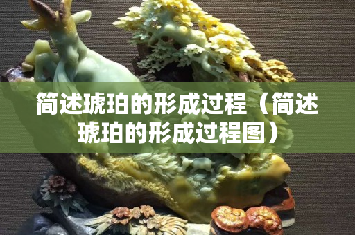 简述琥珀的形成过程（简述琥珀的形成过程图）