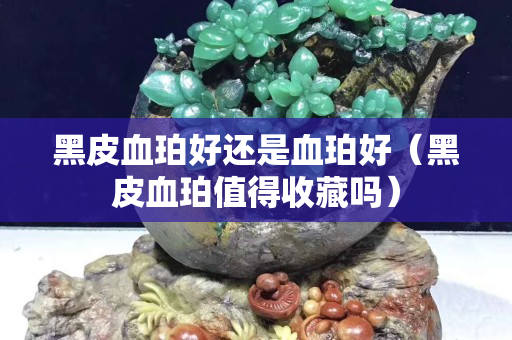 黑皮血珀好还是血珀好（黑皮血珀值得收藏吗）