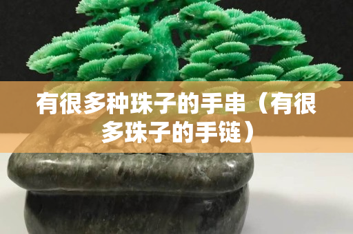 有很多种珠子的手串（有很多珠子的手链）