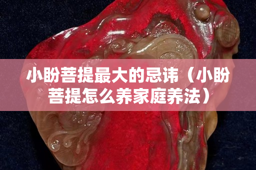 小盼菩提最大的忌讳（小盼菩提怎么养家庭养法）