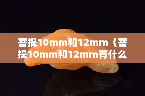 菩提10mm和12mm（菩提10mm和12mm有什么区别）