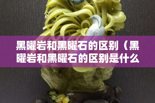 黑曜岩和黑曜石的区别（黑曜岩和黑曜石的区别是什么）