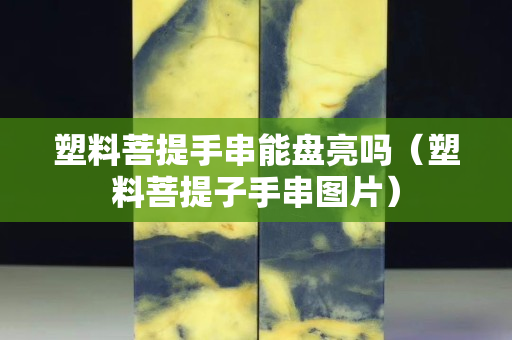 塑料菩提手串能盘亮吗（塑料菩提子手串图片）