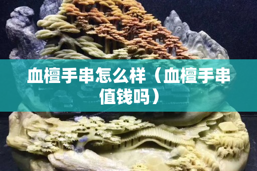 血檀手串怎么样（血檀手串值钱吗）