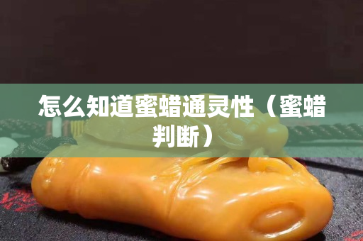怎么知道蜜蜡通灵性（蜜蜡判断）