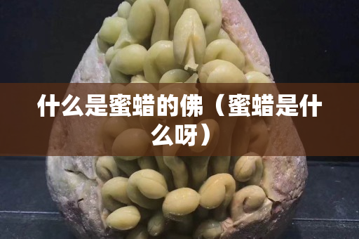 什么是蜜蜡的佛（蜜蜡是什么呀）