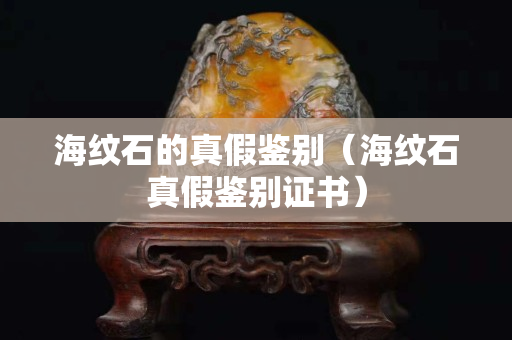海纹石的真假鉴别（海纹石真假鉴别证书）