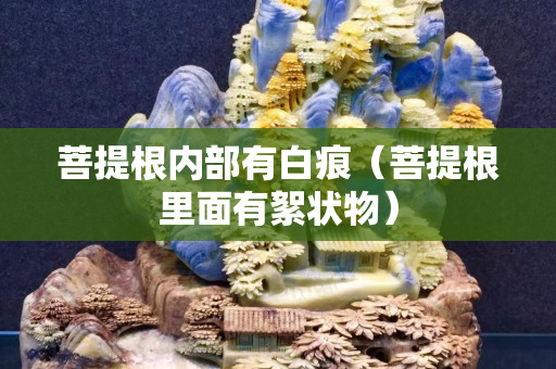 菩提根内部有白痕（菩提根里面有絮状物）