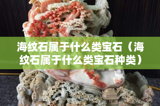 海纹石属于什么类宝石（海纹石属于什么类宝石种类）
