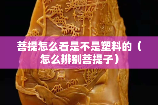 菩提怎么看是不是塑料的（怎么辨别菩提子）
