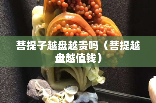 菩提子越盘越贵吗（菩提越盘越值钱）