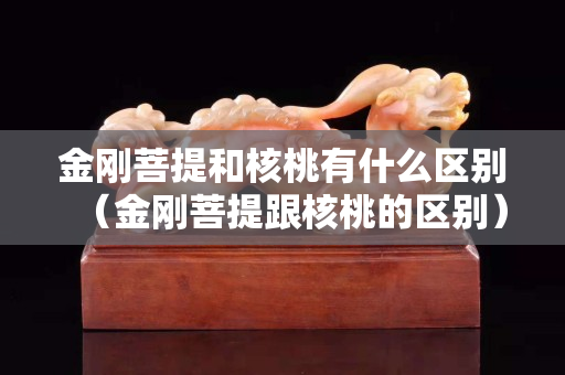 金刚菩提和核桃有什么区别（金刚菩提跟核桃的区别）