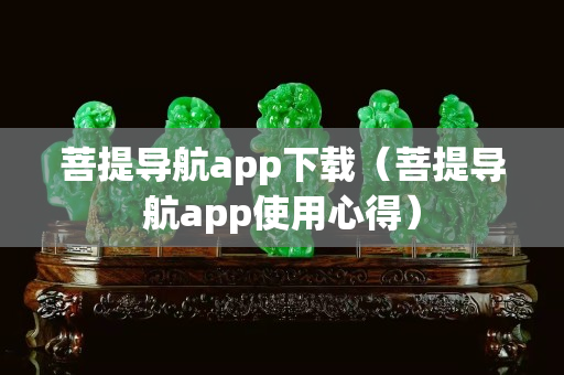 菩提导航app下载（菩提导航app使用心得）
