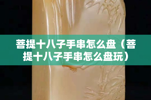 菩提十八子手串怎么盘（菩提十八子手串怎么盘玩）