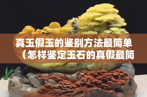 真玉假玉的鉴别方法最简单（怎样鉴定玉石的真假最简单的方法）