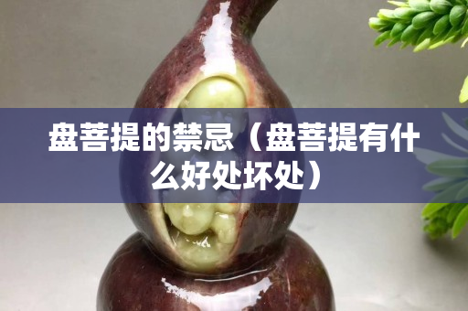 盘菩提的禁忌（盘菩提有什么好处坏处）