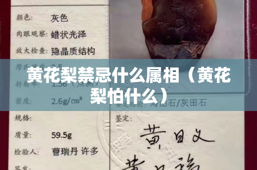 黄花梨禁忌什么属相（黄花梨怕什么）
