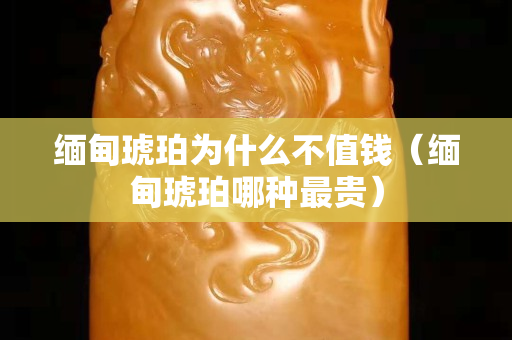 缅甸琥珀为什么不值钱（缅甸琥珀哪种最贵）