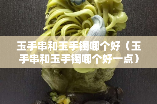 玉手串和玉手镯哪个好（玉手串和玉手镯哪个好一点）