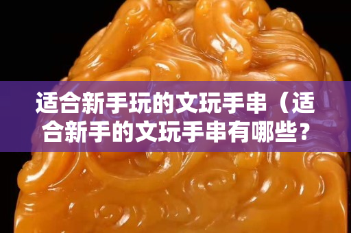 适合新手玩的文玩手串（适合新手的文玩手串有哪些？）