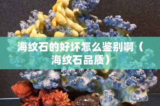 海纹石的好坏怎么鉴别啊（海纹石品质）