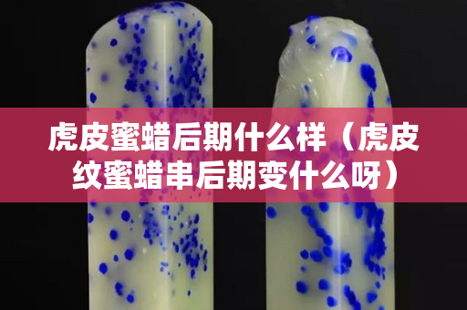 虎皮蜜蜡后期什么样（虎皮纹蜜蜡串后期变什么呀）