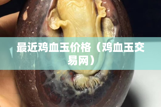 最近鸡血玉价格（鸡血玉交易网）