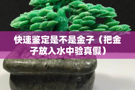 快速鉴定是不是金子（把金子放入水中验真假）