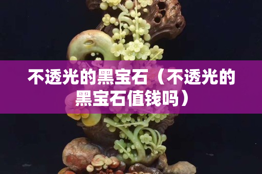 不透光的黑宝石（不透光的黑宝石值钱吗）