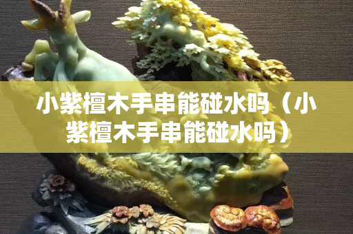 小紫檀木手串能碰水吗（小紫檀木手串能碰水吗）