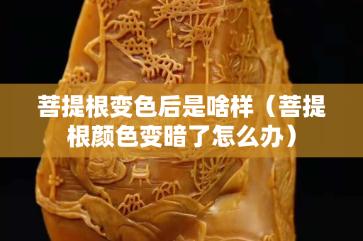 菩提根变色后是啥样（菩提根颜色变暗了怎么办）