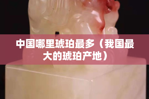中国哪里琥珀最多（我国最大的琥珀产地）