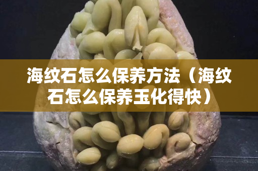 海纹石怎么保养方法（海纹石怎么保养玉化得快）