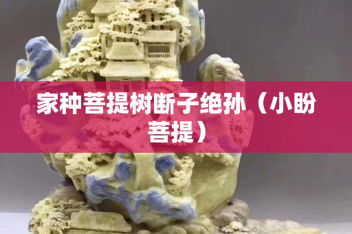 家种菩提树断子绝孙（小盼菩提）