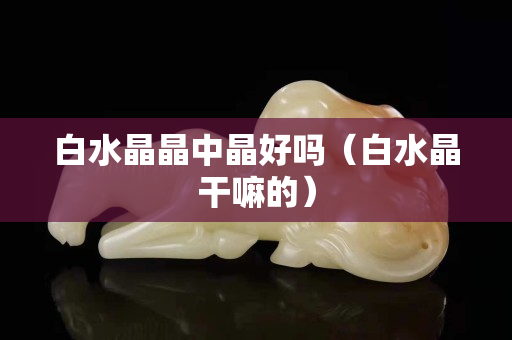 白水晶晶中晶好吗（白水晶干嘛的）