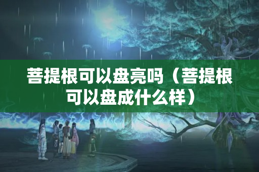 菩提根可以盘亮吗（菩提根可以盘成什么样）