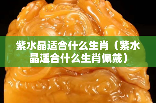 紫水晶适合什么生肖（紫水晶适合什么生肖佩戴）