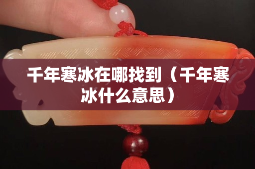 千年寒冰在哪找到（千年寒冰什么意思）