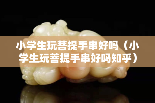 小学生玩菩提手串好吗（小学生玩菩提手串好吗知乎）