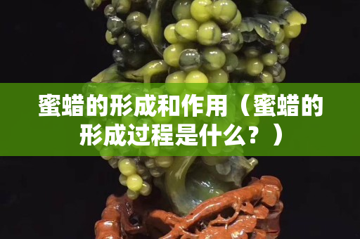 蜜蜡的形成和作用（蜜蜡的形成过程是什么？）