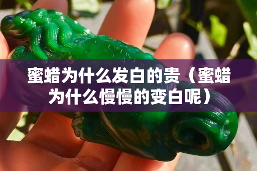 蜜蜡为什么发白的贵（蜜蜡为什么慢慢的变白呢）